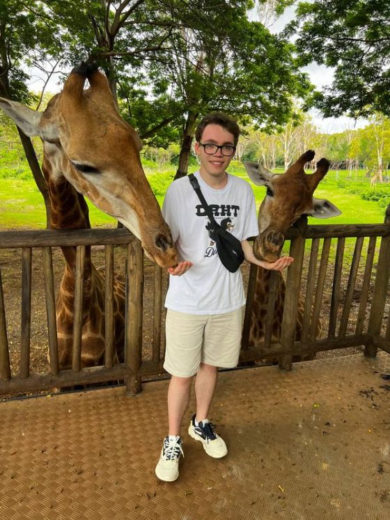 Feeding giraffes at a safari park
